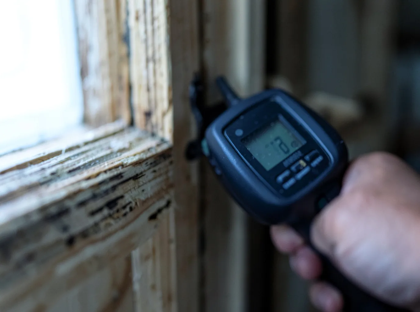 Moisture Inspection And Documentation in Buffalo Valley, TN